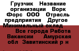 Грузчик › Название организации ­ Ворк Форс, ООО › Отрасль предприятия ­ Другое › Минимальный оклад ­ 24 000 - Все города Работа » Вакансии   . Амурская обл.,Завитинский р-н